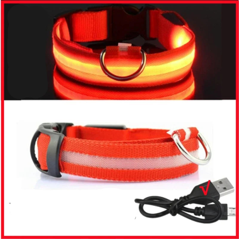 Luminous Dog Collar