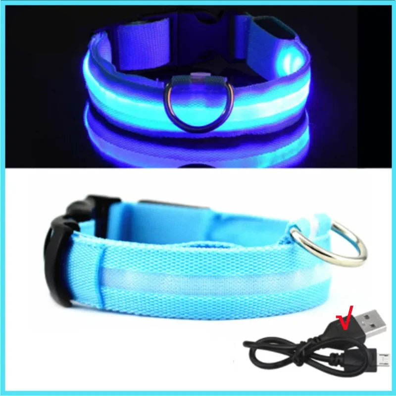 Luminous Dog Collar