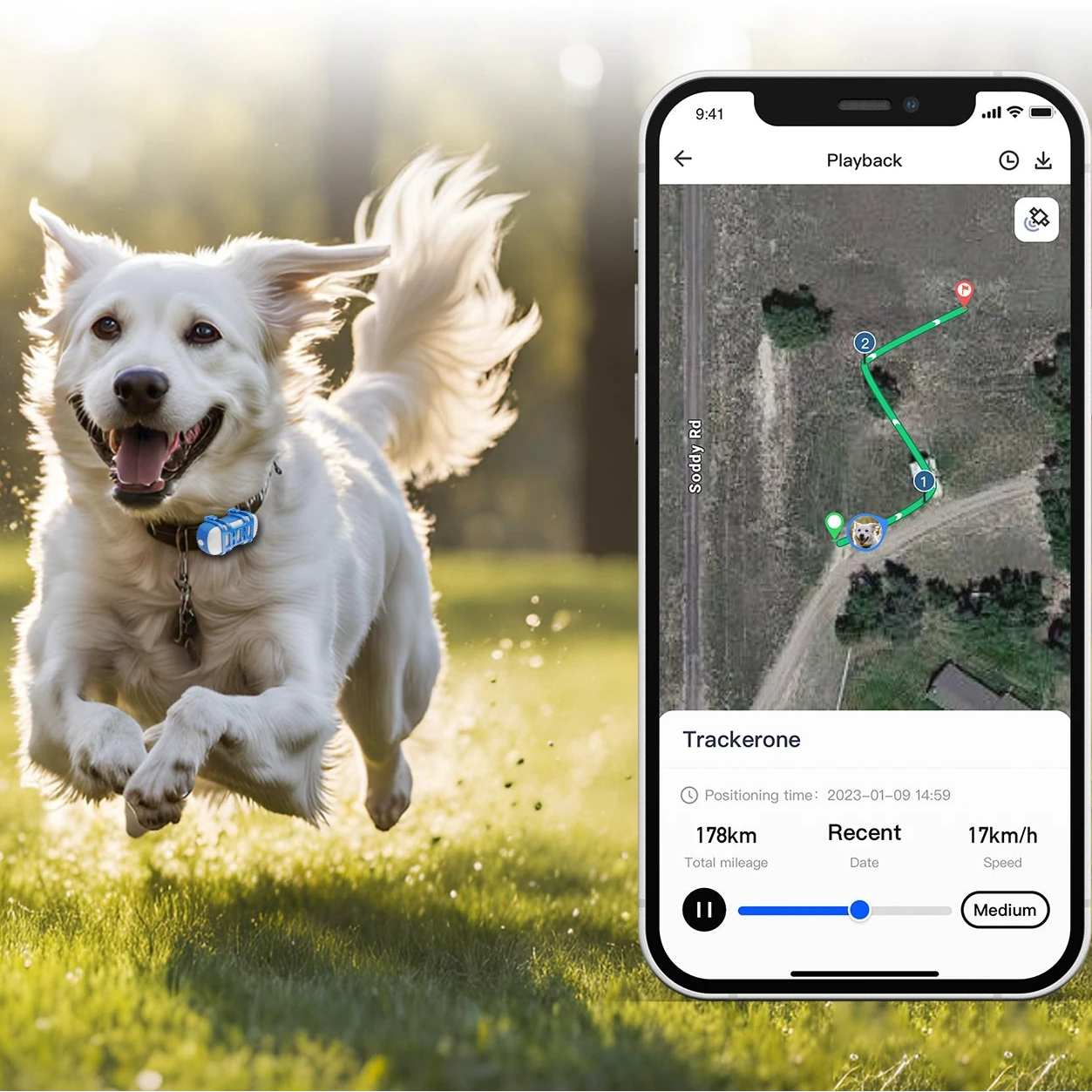 4G Dog Cat GPS Tracker for Pets