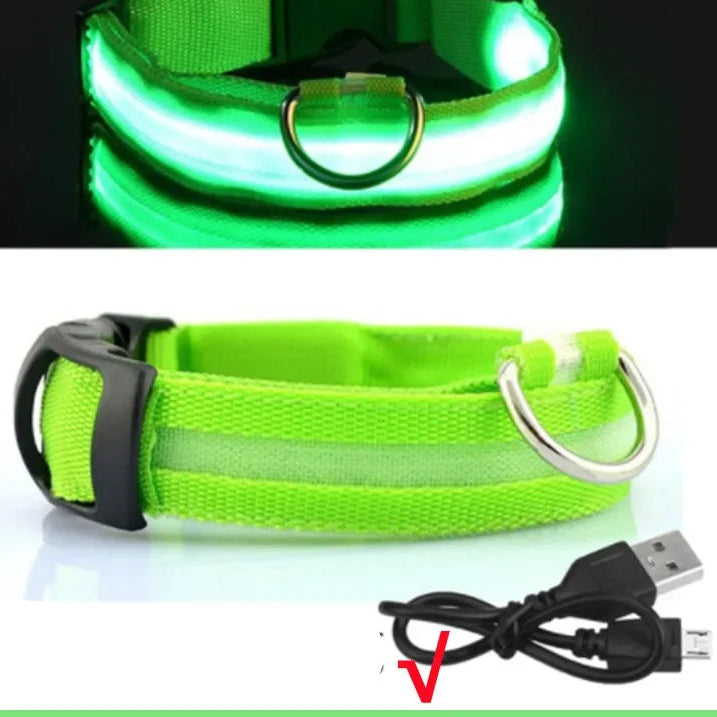 Luminous Dog Collar