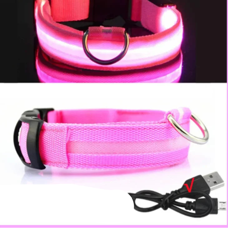Luminous Dog Collar