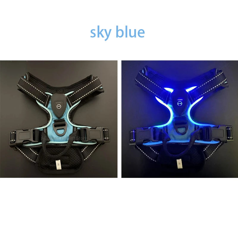 Luminous Dog Harness