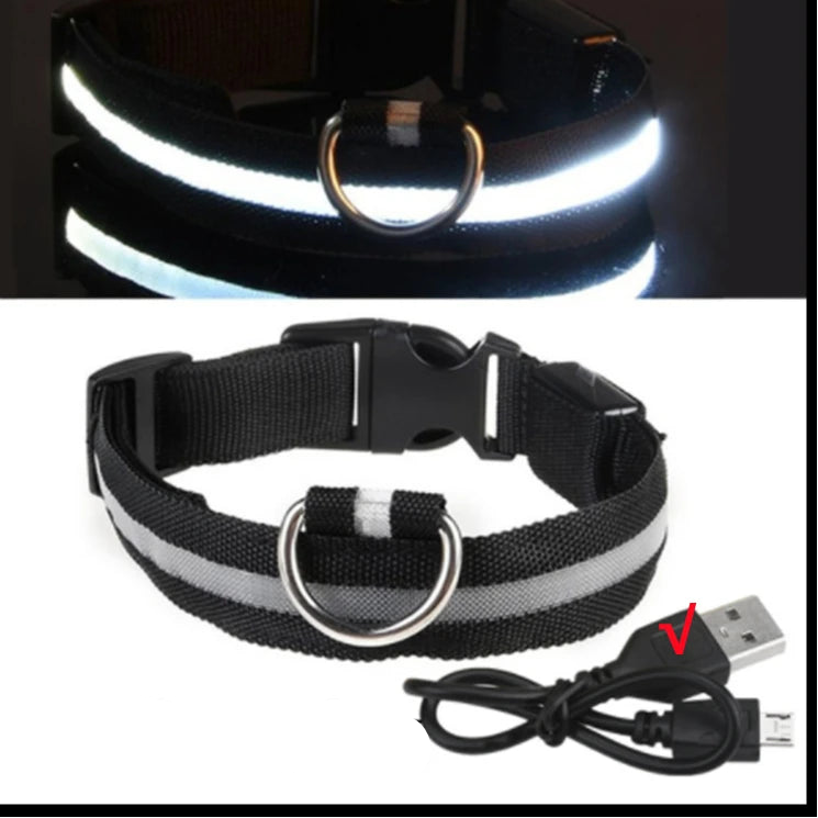 Luminous Dog Collar